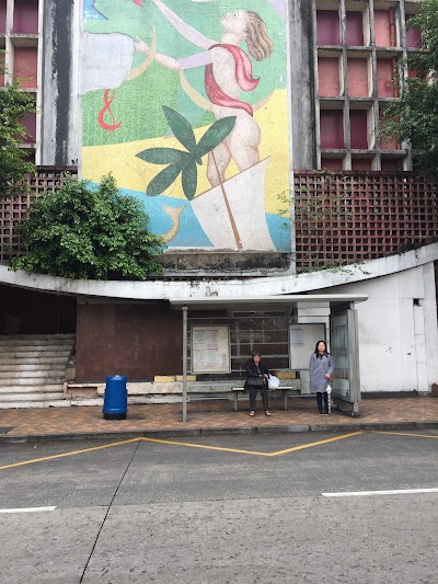 Photos of Pavilhao Polidesportivo Tap SEAC