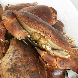 Photo n°61 de Café De Bellevue à Nogent-sur-Seine (Brasserie)