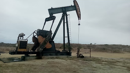Campo Pacoa - Petroamazonas