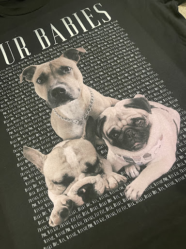 Ourootz Customz Gallery - Australia