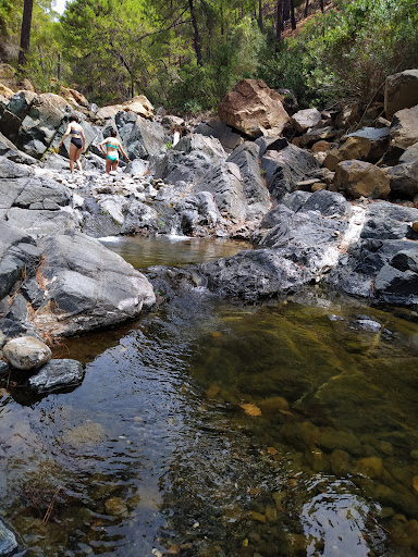 Ruta fluvial arroyo del quejigo - Thumbnail