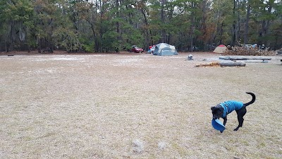 Photos of Poinsett State Park