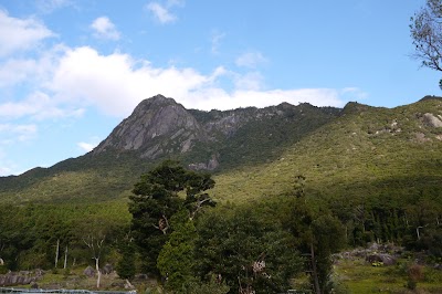 屋久島ベリーガーデン