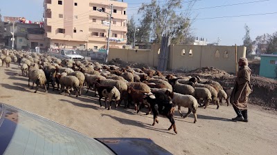 Photos of الحسين للموبيل