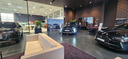 DS STORE REIMS - Autobernard - Thumbnail