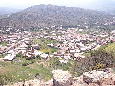 Photos of مسجد عمر بن الخطاب أزرو