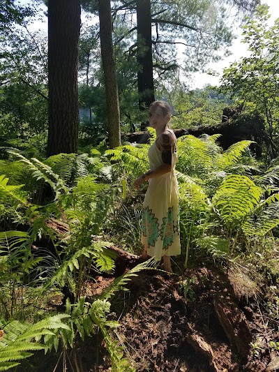 Photos of Twinwood Lake Campground