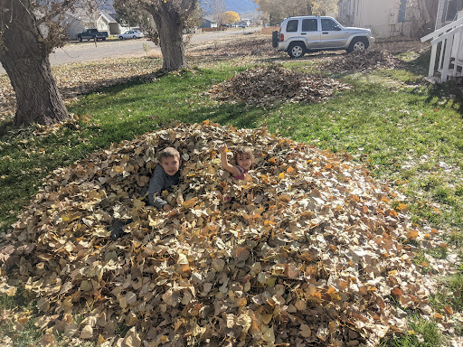 Wormcycle Worx - Visual
