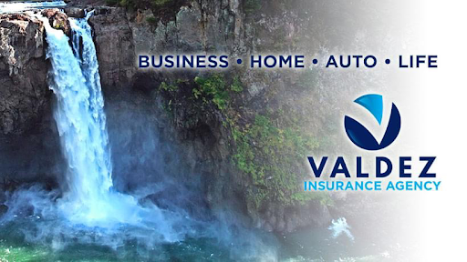 Valdez Insurance Agency