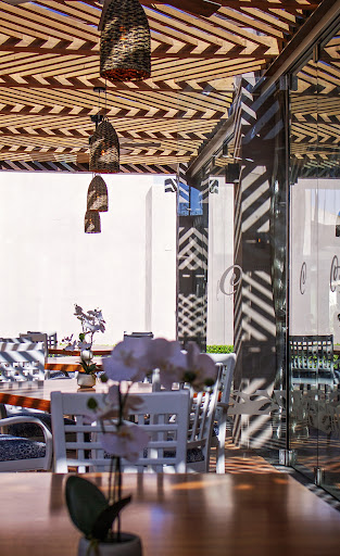 Cissus Restaurant - Visual
