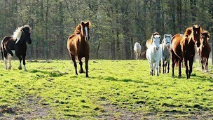 Photo n°1 de Ferme de Bon-Jacques à Belrupt (Éleveur)