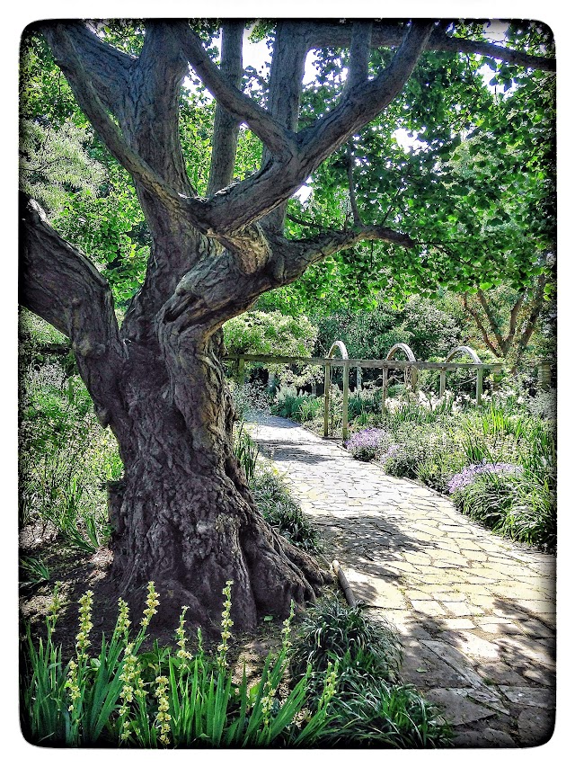The Sexby Garden