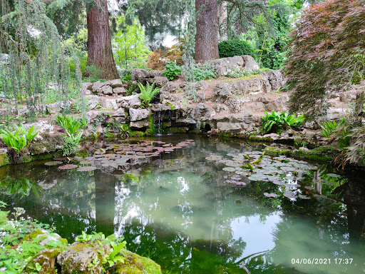 Alpine Botanical Garden of Meyrin Gallery - France