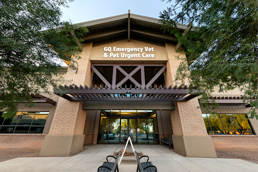 Gilbert Queen Creek Veterinary Surgical Specialist - Thumbnail