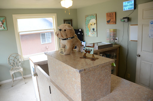 Calming Nature Pet Grooming, LLC - Thumbnail