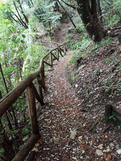 Grotta di Castelvenere