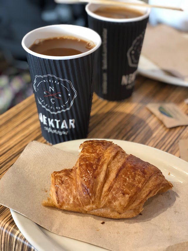 Nektar Caféologue St-Roch