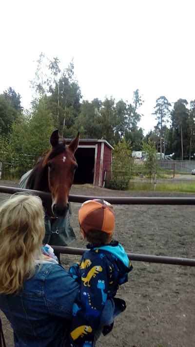 Photos of Tampere Hevosklinikka