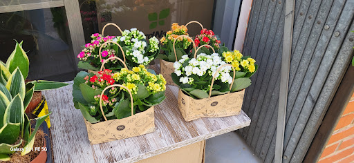 Floristeria Chari - Thumbnail