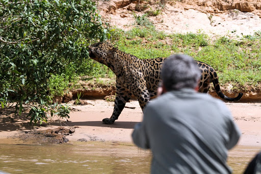 Pantanal Adventure Italia - Thumbnail