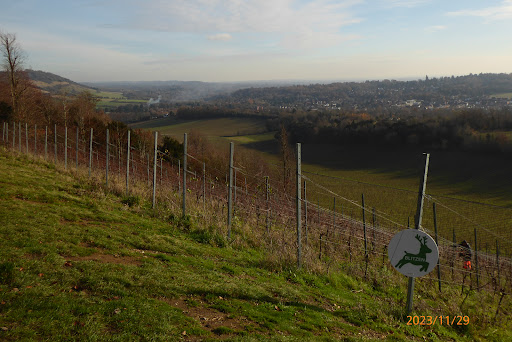 Denbies Hillside - Visual