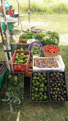 Mercado Ameyalli tlacualli - Thumbnail