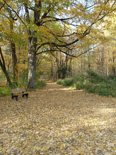 Woodchuck Hill Field and Forest Preserve - Thumbnail