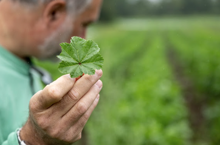 Norwich Meadows Farm by null