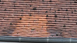 Photo n°1 de Entreprise Pierrot à Montlouis-sur-Loire (Peintre en bâtiment)