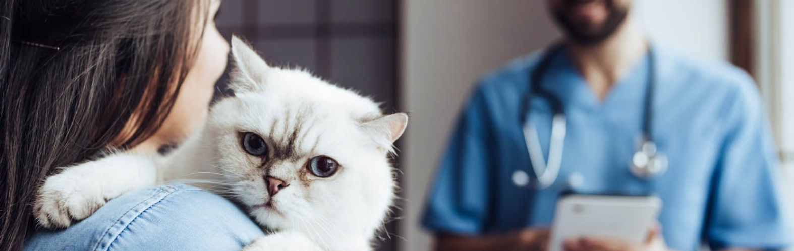 Alpine Animal Hospital