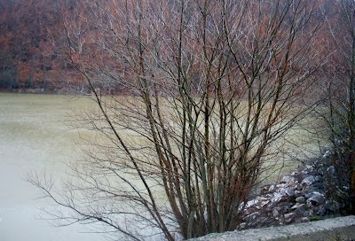 Büyükelmalı Pond