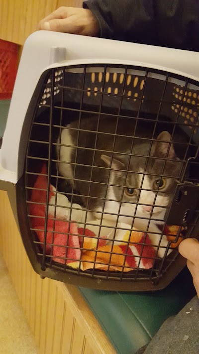 Photos of Lewiston Veterinary Hospital
