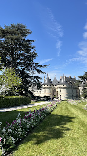 Photo de Château de Chaumont-sur-Loire à Chaumont-sur-Loire (41150)