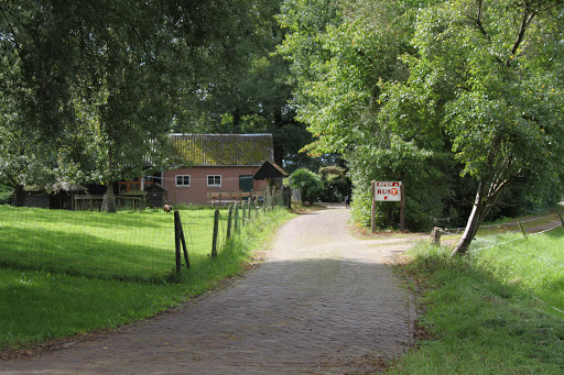 Miskotten - Visual