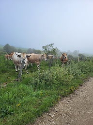 Photo n°16 de Restaurant la cuisine d'Audrey - La Panouse - Lozère 48 - Margeride - Massif Central à La Panouse (Traiteur)