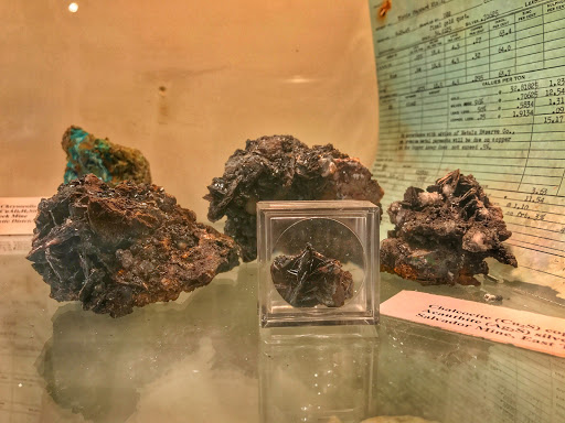 Box Elder Museum of Natural History - Thumbnail