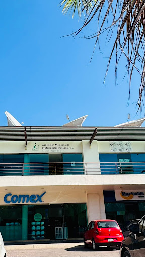 ASOCIACION MEXICANA DE PROFESIONALES INMOBILIARIOS, A.C. IXTAPAN DE LA SAL. - Thumbnail