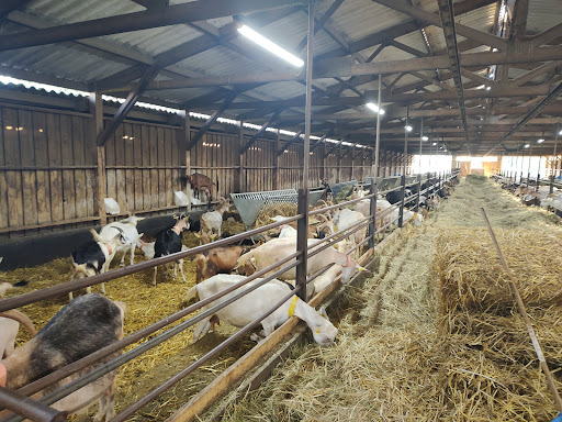 Ferme des Pampilles - Thumbnail