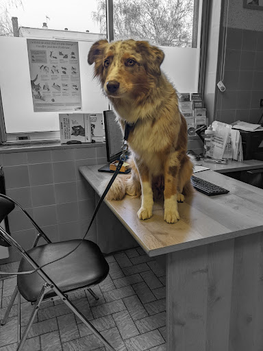Veterinary Clinic of the Four Winds - Thumbnail
