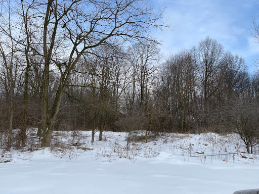 North Road Nature Preserve - Thumbnail