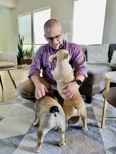 Urban Tails: At Home Veterinary Care