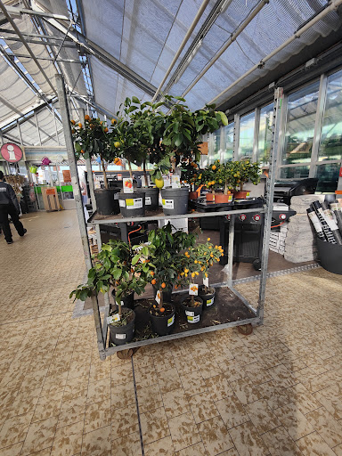 HORNBACH Binzen - Thumbnail
