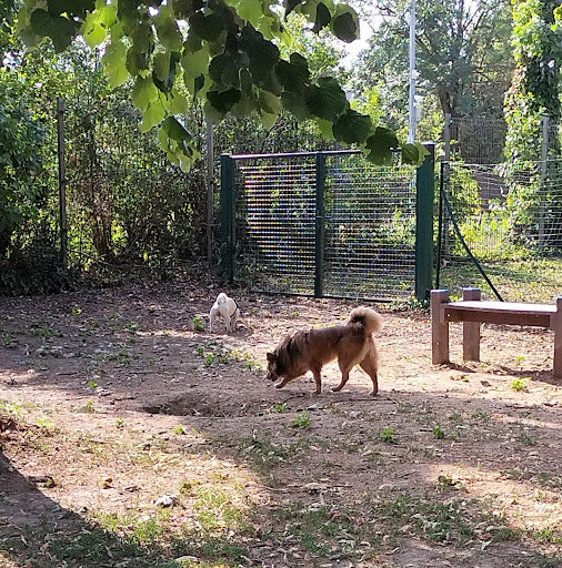 Area Cani Parco Freud