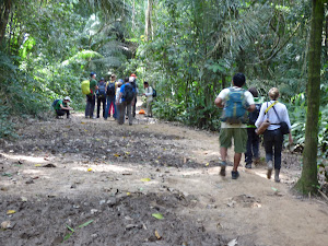 Tambopata Tours 5