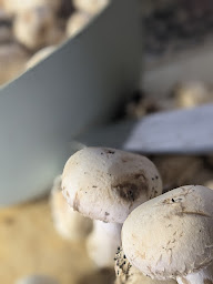 Photo n°17 de La Pizzeria Chez Niko à Saint-Cyprien (Pizzas à emporter)