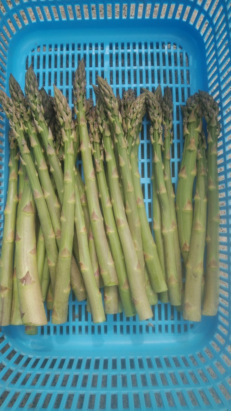 札幌野菜直売所 / ベジファームハセ