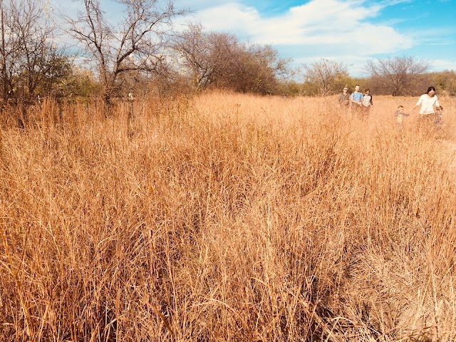 Arbor Hills Trails