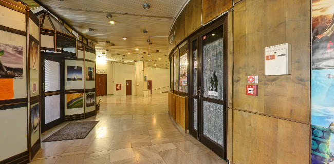 Kino Hron