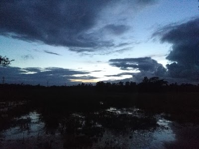Photos of Khoajpur Paddy irrigation Field (খোয়াজপুর বিল)