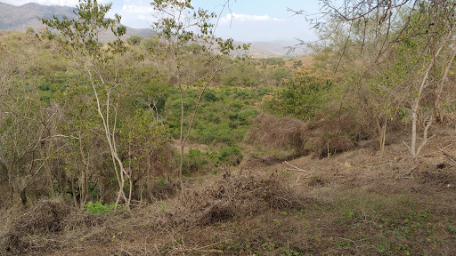 Valle Paraiso Santiago Colima Mex - Thumbnail